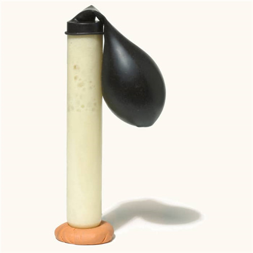 冰箱里发酵18小时
