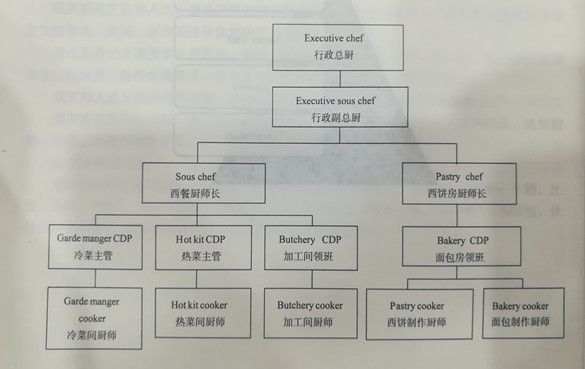 西餐厨师的级别