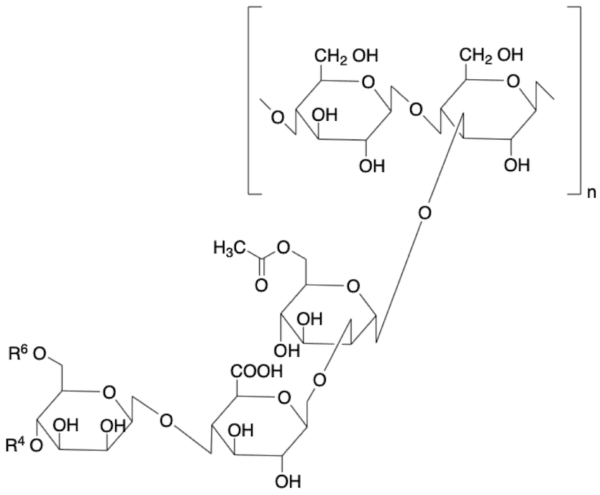 黄原胶的化学结构